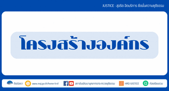 โครงสร้างองค์กร